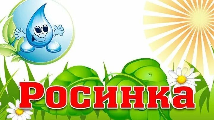 Символика организации